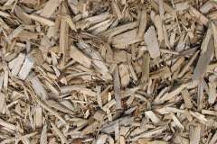 biomass boilers Bulstrode